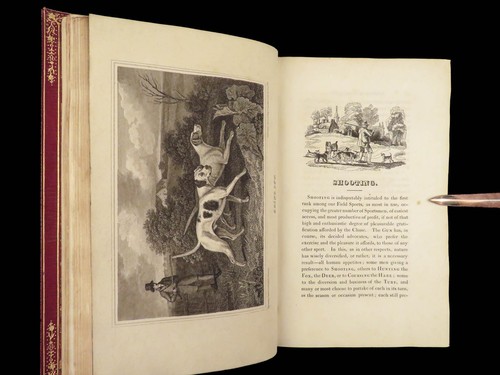 1818 HUNTING 1ed Field Sports Fishing Horse & DOG Fowling Racing FINE BINDING - Picture 13 of 24