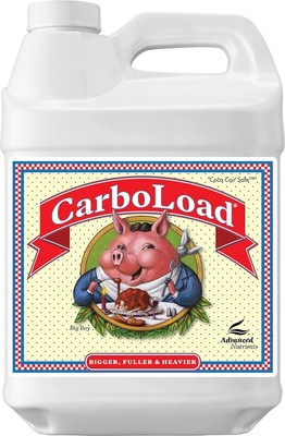 CarboLoad 250mL