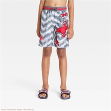 Boys' Spider-Man Swim Shorts - Gray M SEE DEAL  