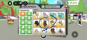 Adopt Me! Brown Bear Pet FR Fly Ride (Rideable, Flyable) Game Item/Asset