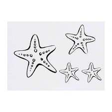 4 x 'Starfish' Temporary Tattoos / Transfers TO00007641 