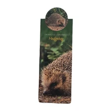 Cardmarks Hedgehog Wild Animals Info Magnetic Magnet UK Company If #2408 Y2k 00s