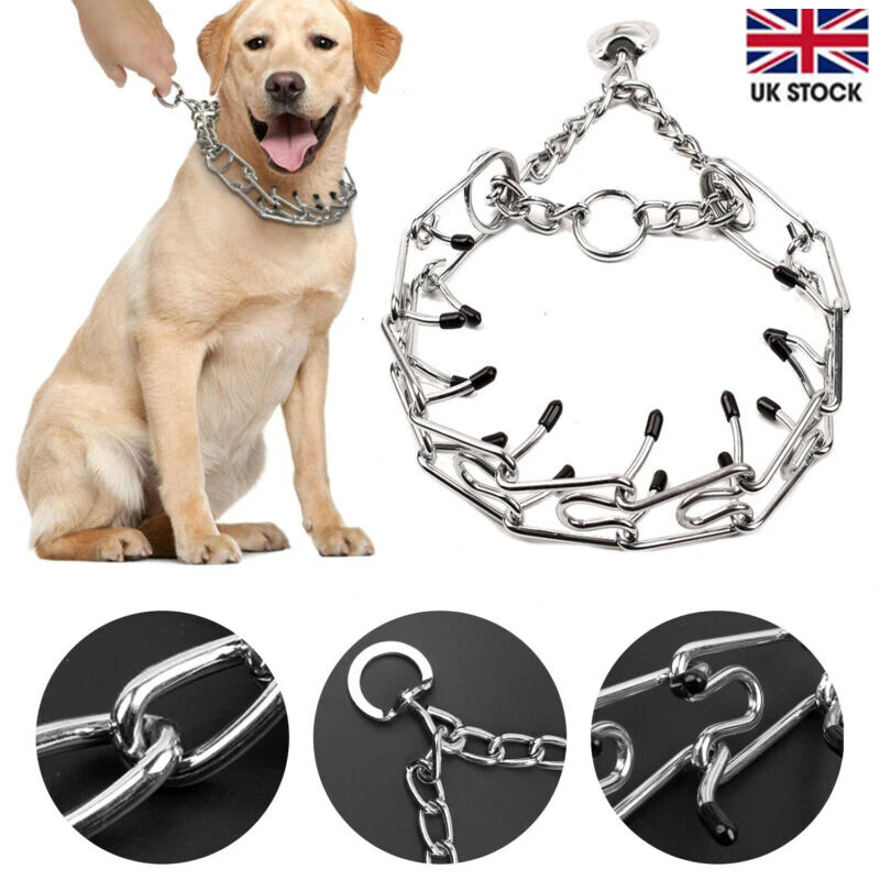 Cheap dog store training collars