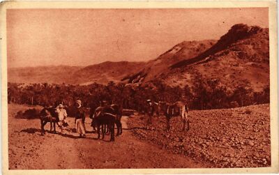 Old postcard AK ALGERIA Aures - Between Djemora and Beni Souik (794799)