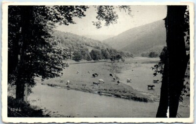#ad #ad Postcard A Pastoral Scene In Rural New York $11.87