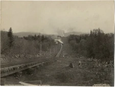 Photo H.G. Peabody Albuminé Trains Ascending Cold Spring Hill Mt Wash Ry 1895