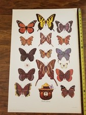 Lot Of 14 Vintage Smoky Bear U.S.D.A. Forest Service Fire Prevention Posters