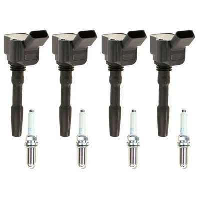 Eldor 4 Ignition Coils NGK Platinum Spark Plugs Kit for A3 A4 A6 Golf Jetta 2.0L