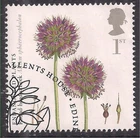 GB 2009 QE2 1st Action Species Plants Round leek Ex Fdc SG 2931 ( R327 )