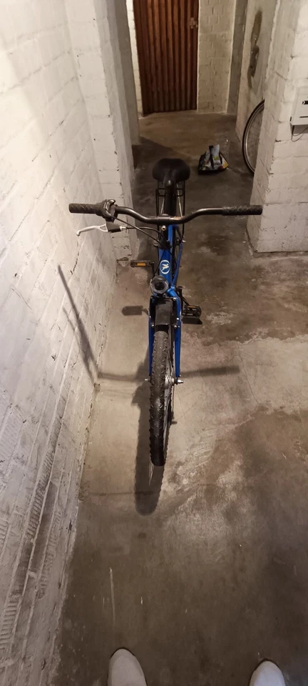 Pegasus Arcona Fahrrad, 24 Zoll, 36cm, Schwarz, 3-Gang Nabenschalt Blau - Bild 4 von 4