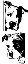 Pitbull Peeking Vinyl Decal Car Truck Van RV Camper Wall Tablet Laptop Windows