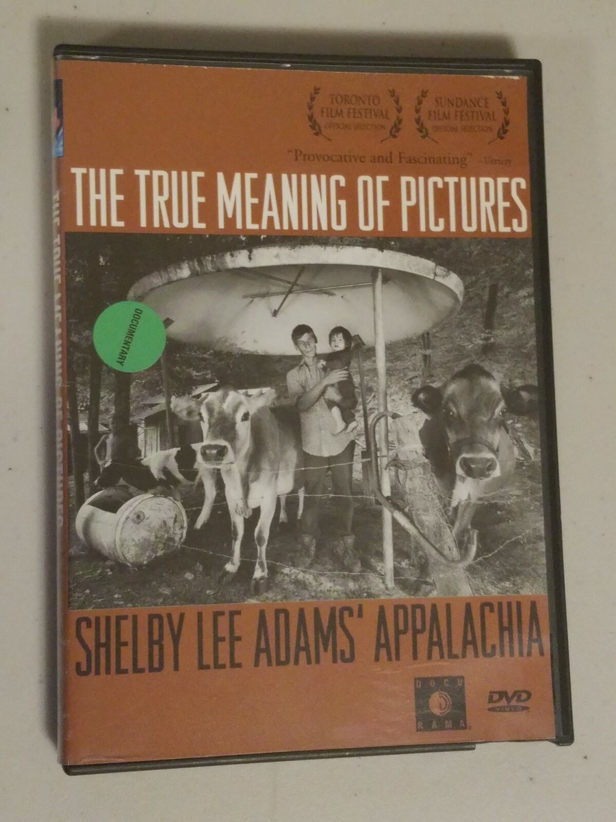 その他 True Meaning of Pictures [DVD] The True Meaning of Pictures (DVD, 2003) for sale online | eBay