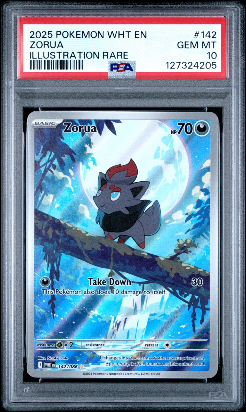 2025 POKEMON WHT EN-WHITE FLARE ILLUSTRATION RARE #142 ZORUA PSA 10