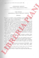 MINELLI A. - Una nuova Xerobdella delle Prealpi Venete (Hirudinea) .