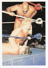 1988 Wonderama NWA #203 Shaska Whatley