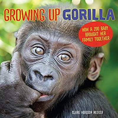Growing up Gorilla : How a Zoo Baby Brought Her Family Together H