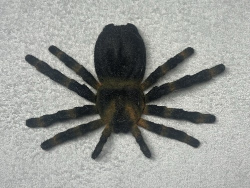 Fantasma Toys Toys “R” Us Remote Control Web Attack Tarantula no Remote (2014) - Picture 3 of 11
