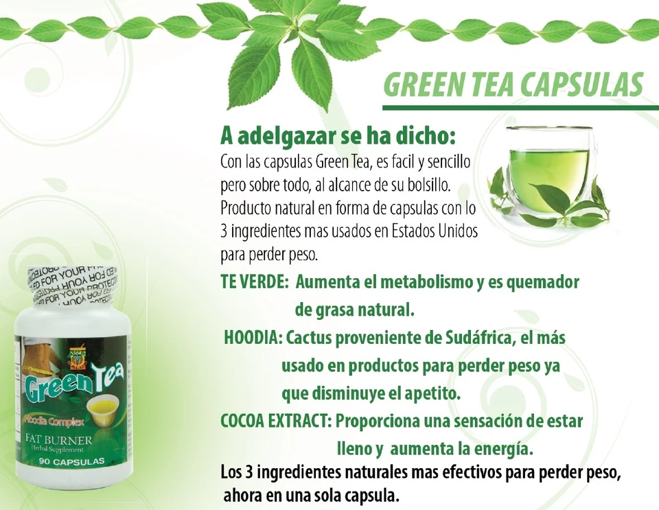 Quemador de grasa de té verde quemador de grasa Te verde en cápsulas natural y seguro Foto 3 de 4