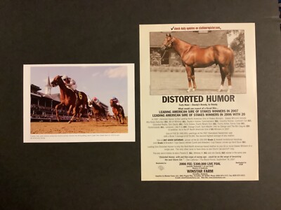 FUNNY CIDE photo 2008 DISTORTED HUMOR WINSTAR FARM STUD AD 2003 ...