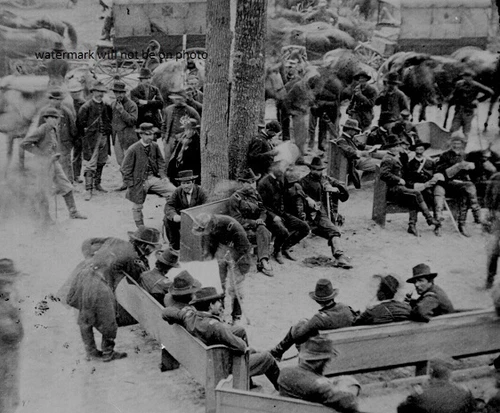 Council of War Near Massaponax Church, Va 8"x 10" Civil War Photo Picture #125