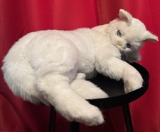 VTG 1989 Avanti Applause 27" Realistic White Cat Italian Plush - RARE - CLEANED