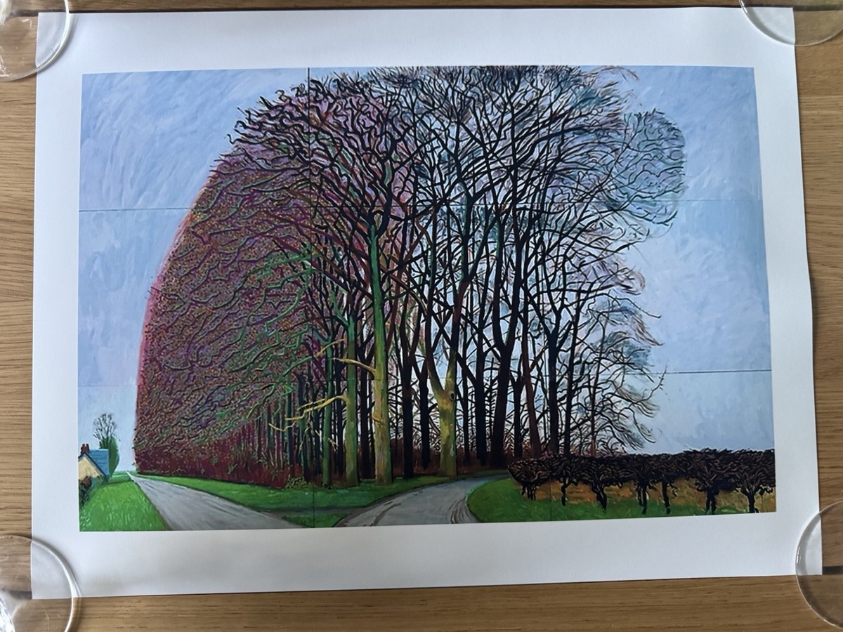 David Hockney Bigger Trees Near Water Print Unframed | eBay UK