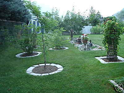 4 Large DIY Concrete Garden Edging Lawn Landscape Mold Set Wall Blocks Fast Ship