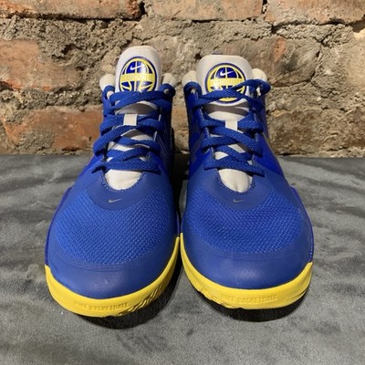 Nike Team Hustle D9 Game Royal