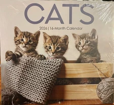 2026 CATS 16 MONTH WALL  CALENDAR