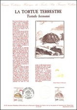 Document Officiel 1991 - La tortue terrestre