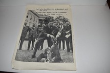 Anti LBJ Johnson Tiermisshandlung Ziehen Seiner Beagle Ohren! Wahlplakat (NNH35)