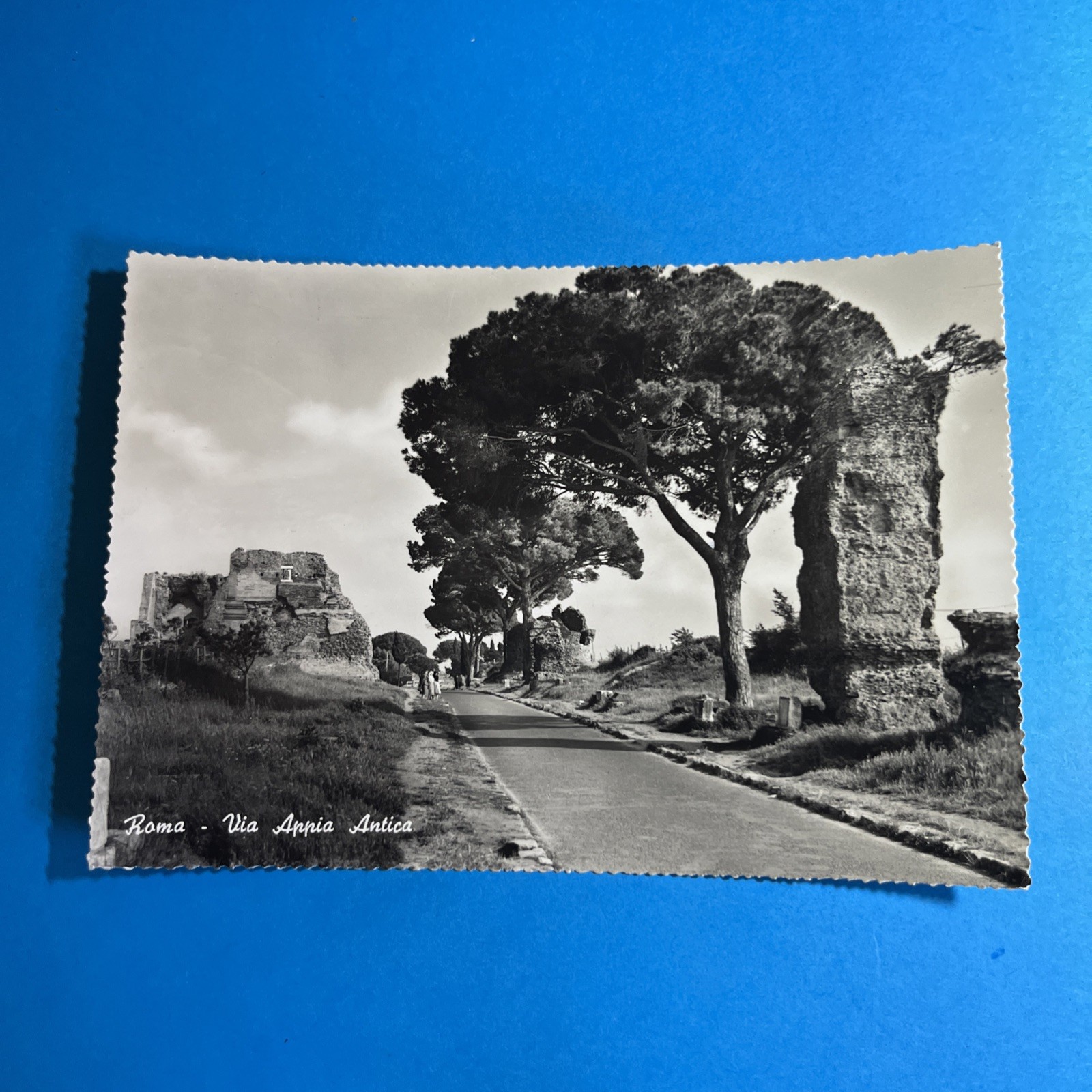 ROMA VIA APPIA ANTICA VIAGGIATA  1961 - POSTCARD CARTOLINA BIANCO E NERO