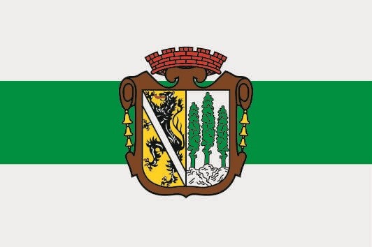 U24 Valencia Flagge, 30 X 45 Cm – Aus 110 G/m² Polyester, Wasser- & Lichtecht, Mit Gurtband & Hissleine