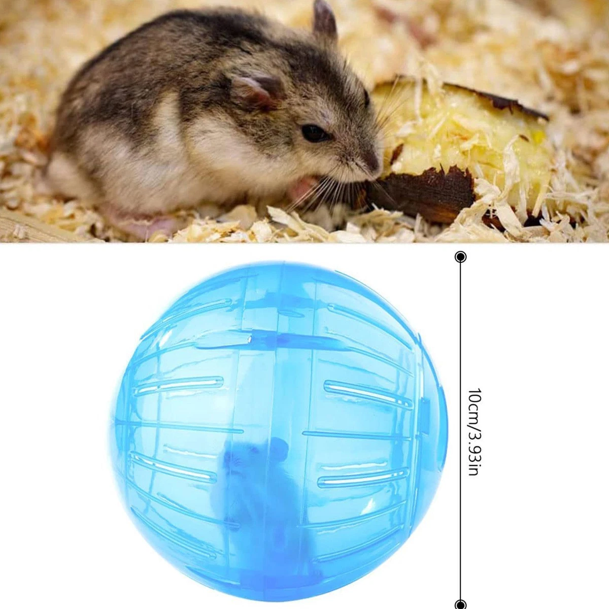Rubber hamster best sale ball