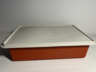 Tupperware Aufbewahrungsbox mit 2 internen Staufächern Tuppercraft 35x24cm