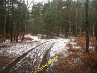 Photo 6x4 Track down Pyestock Hill Pondtail Heading north towards Fleet P c2012