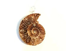 UPC 033383000176 product image for Madagascan Fossil Ammonite Slice Necklace- BOXED 2.9cm | upcitemdb.com