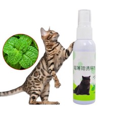 50ML Cat Mint Pet Training Toy Natural Healthy Organic Catnip