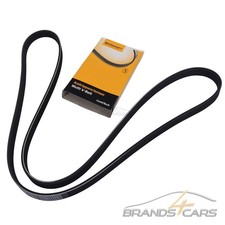 CONTI KEILRIPPENRIEMEN FÜR ALFA 159 FIAT OPEL ASTRA CORSA MERIVA ZAFIRA 1.6 1.8