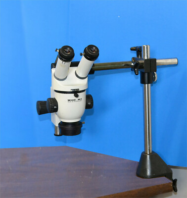 Wild Heerbrugg M3B Stereo Microscope with Stand Light, Leica