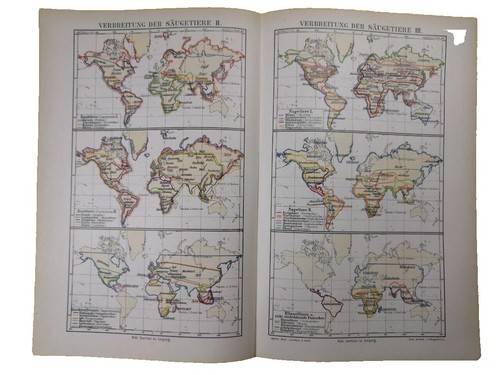 Putzger - Historischer Weltatlas - [102. Auflage]: Putzger