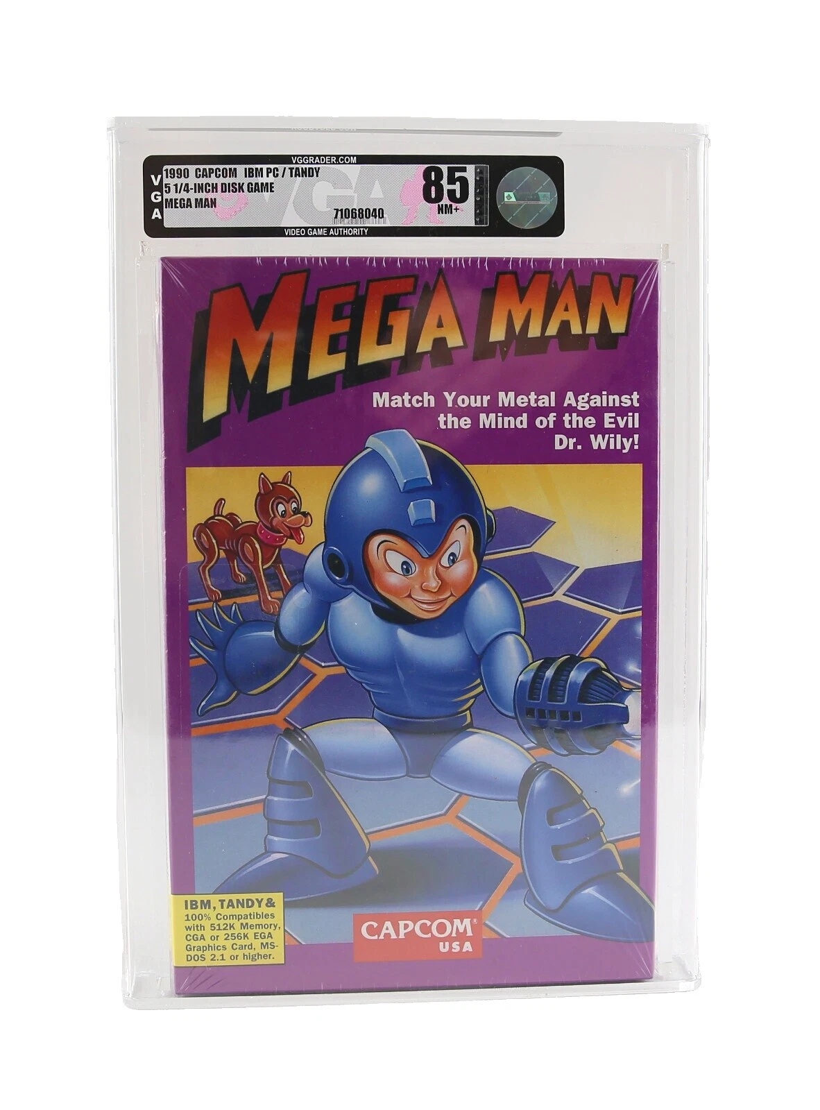 Role Playing Capcom PC Video Games