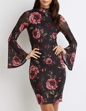 Charlotte Russ Mesh Bodycon Floral Dress Size Large