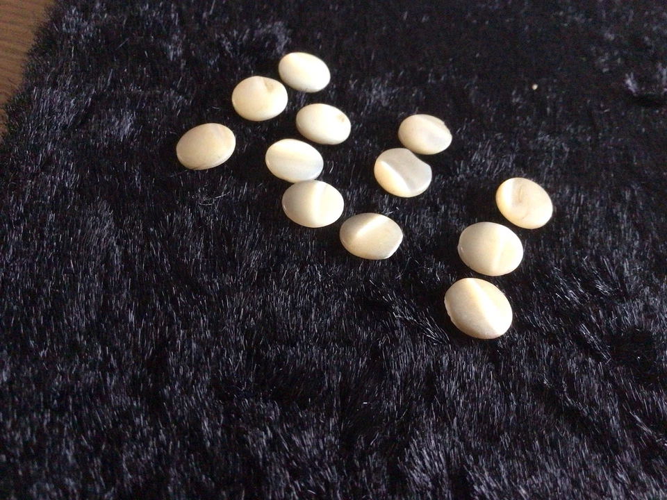 Antique Mother of Pearl Buttons x 12 Small Sewing Crafts - Image 2 of 4