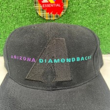 RARE Vintage American Needle Arizona Diamondbacks Snapback