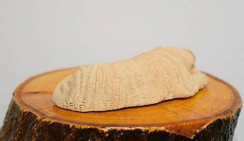 Scultura Sandicast "Rughe" S26 - In ottime condizioni. - Foto 2 di 3