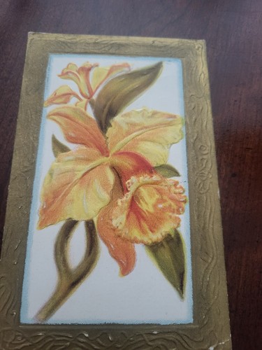 Rare 1900s Benjamin Franklin 1 Cent Stamp Embossed Yellow Flower Postcard