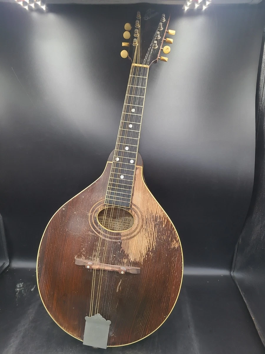 Gibson Vintage Mandolins for sale | eBay