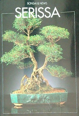 SERISSA ROLFI MAURIZIO CRESPI 1999 BONSAI & NEWS PINED