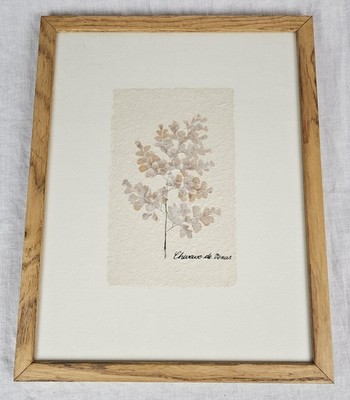 Pressed Maidenhair Fern Leaf Wall Art Cheveux de Venus 12.5x16'' Nature Botanical